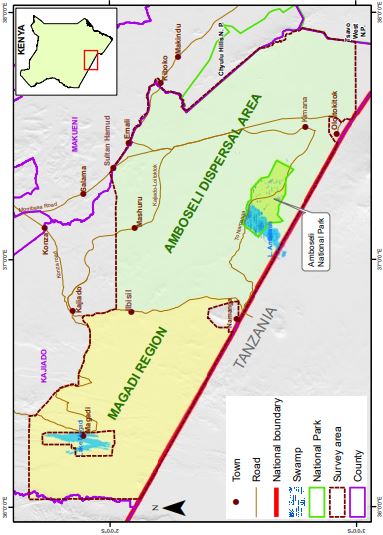 Census of amboseli park animals by kws