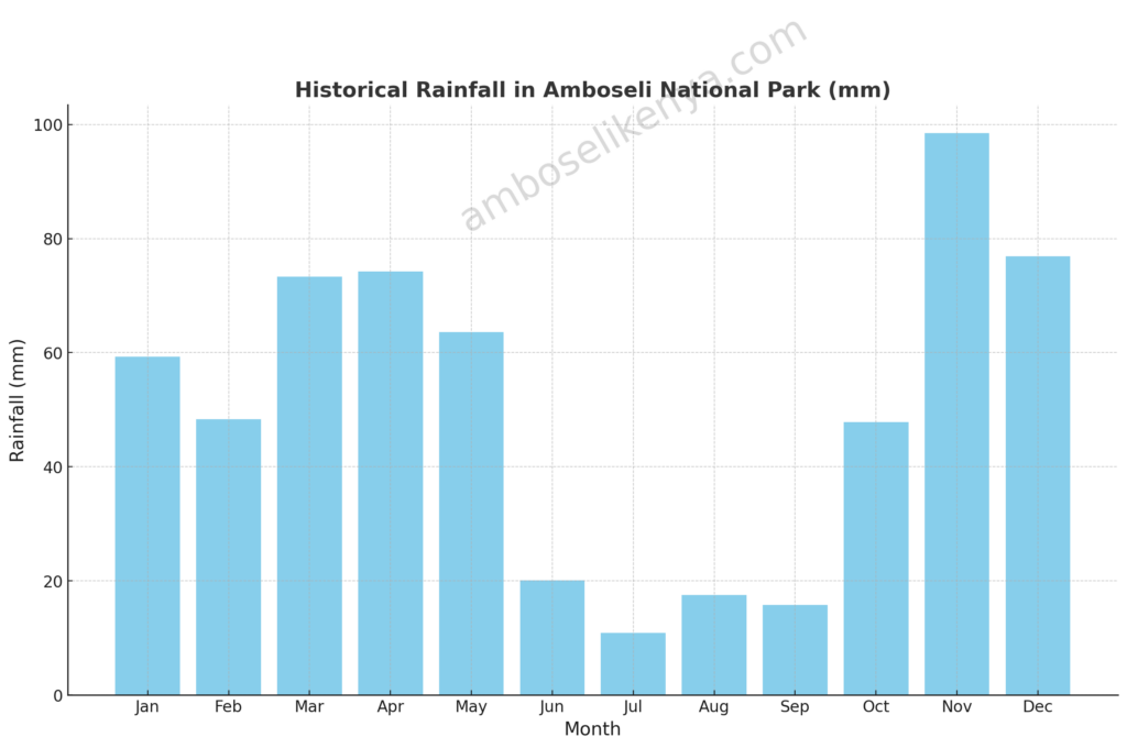 This chart showcases the typical rainfall patterns across the months, providing insight into the wet and dry seasons of the Amboseli park,