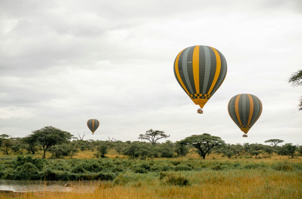 Hot Air Balloons over the Savannah